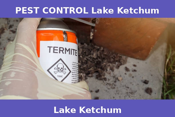 PEST CONTROL Lake Ketchum